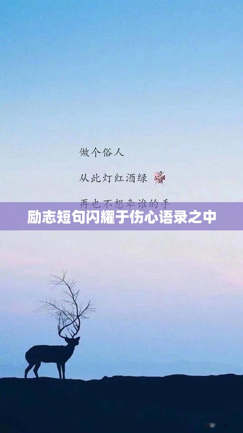 励志短句闪耀于伤心语录之中