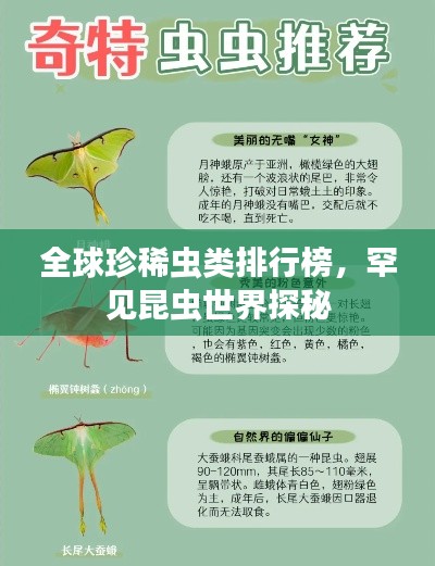 全球珍稀虫类排行榜，罕见昆虫世界探秘