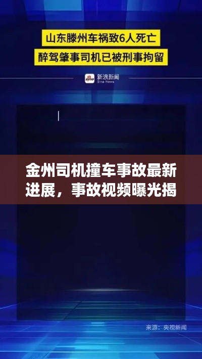 金州司机撞车事故最新进展，事故视频曝光揭示真相