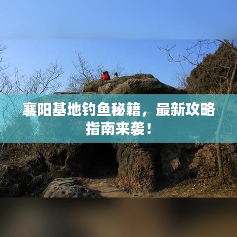 襄阳基地钓鱼秘籍，最新攻略指南来袭！