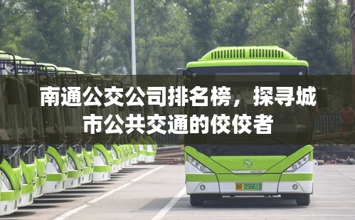 南通公交公司排名榜，探寻城市公共交通的佼佼者