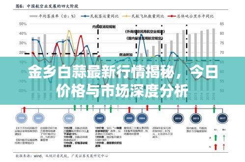 金乡白蒜最新行情揭秘，今日价格与市场深度分析