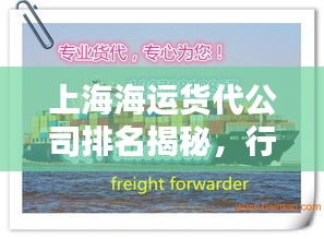 上海海运货代公司排名揭秘，行业影响力与服务质量大盘点