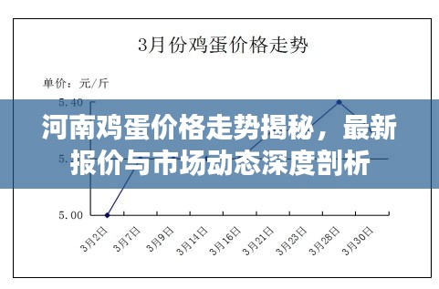 河南鸡蛋价格走势揭秘，最新报价与市场动态深度剖析