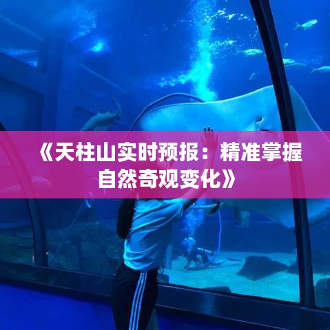 《天柱山实时预报：精准掌握自然奇观变化》