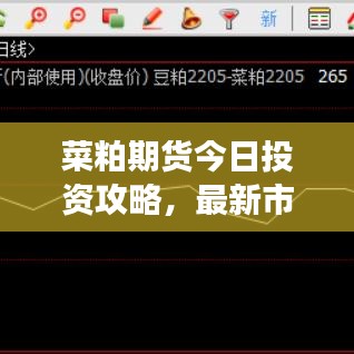 菜粕期货今日投资攻略，最新市场分析及操作建议助你稳健盈利