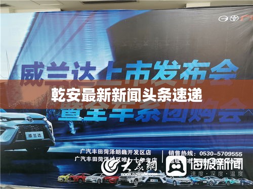 乾安最新新闻头条速递
