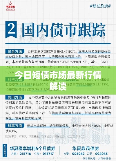 今日短债市场最新行情解读