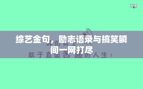 综艺金句，励志语录与搞笑瞬间一网打尽