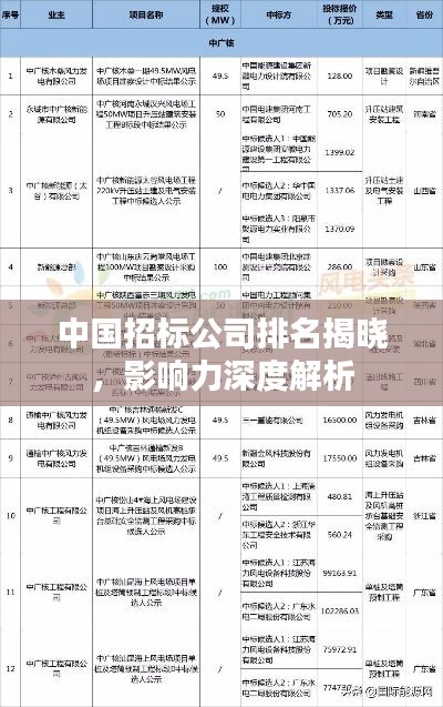 中国招标公司排名揭晓，影响力深度解析