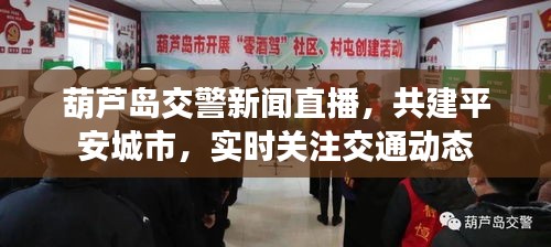 葫芦岛交警新闻直播，共建平安城市，实时关注交通动态