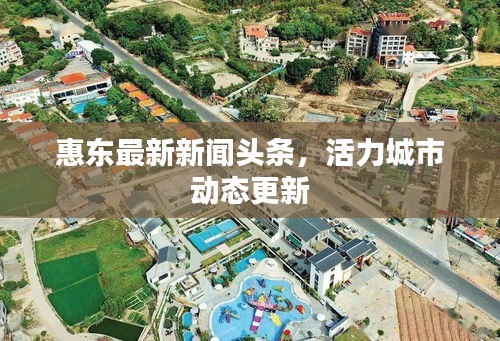 惠东最新新闻头条，活力城市动态更新