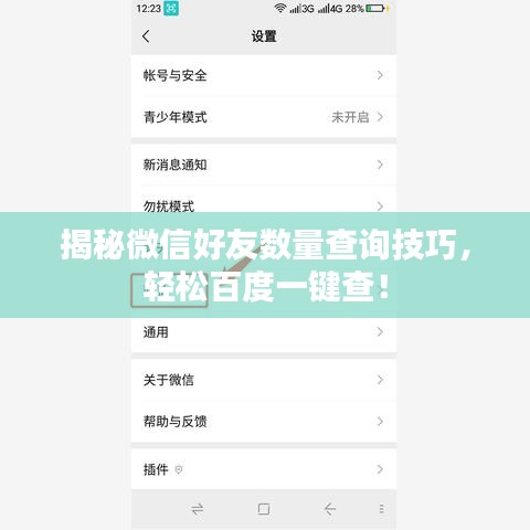 揭秘微信好友数量查询技巧，轻松百度一键查！