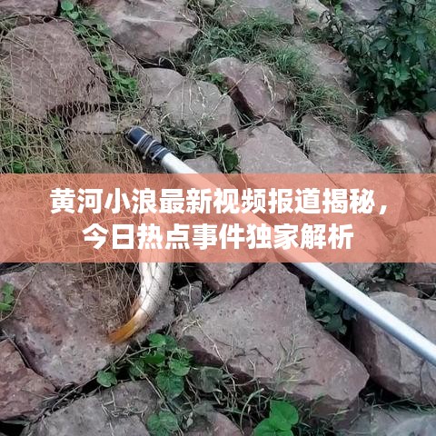 黄河小浪最新视频报道揭秘，今日热点事件独家解析
