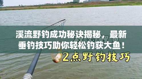溪流野钓成功秘诀揭秘，最新垂钓技巧助你轻松钓获大鱼！