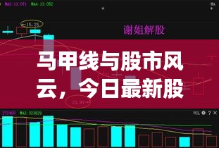 马甲线与股市风云，今日最新股价行情解析