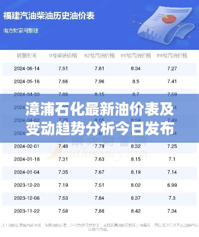漳浦石化最新油价表及变动趋势分析今日发布