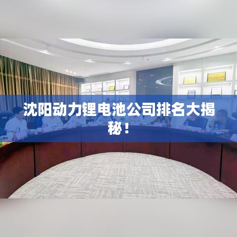 沈阳动力锂电池公司排名大揭秘！