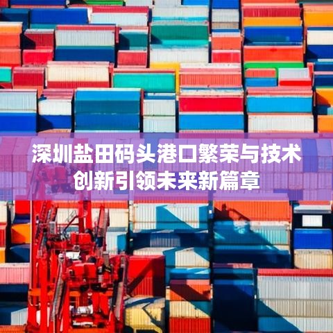 深圳盐田码头港口繁荣与技术创新引领未来新篇章