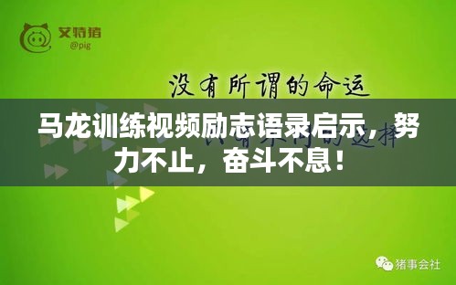 马龙训练视频励志语录启示，努力不止，奋斗不息！