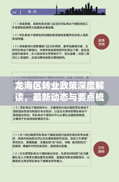 龙海区转业政策深度解读，最新动态与要点梳理