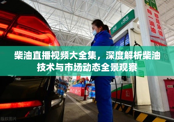 柴油直播视频大全集，深度解析柴油技术与市场动态全景观察