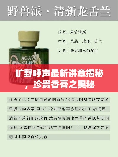 旷野呼声最新讲章揭秘，珍贵香膏之奥秘