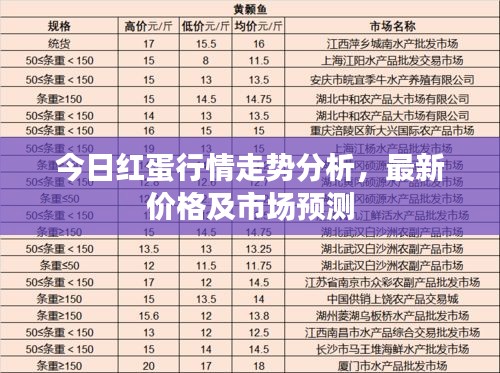 2025年5月12日 第4页