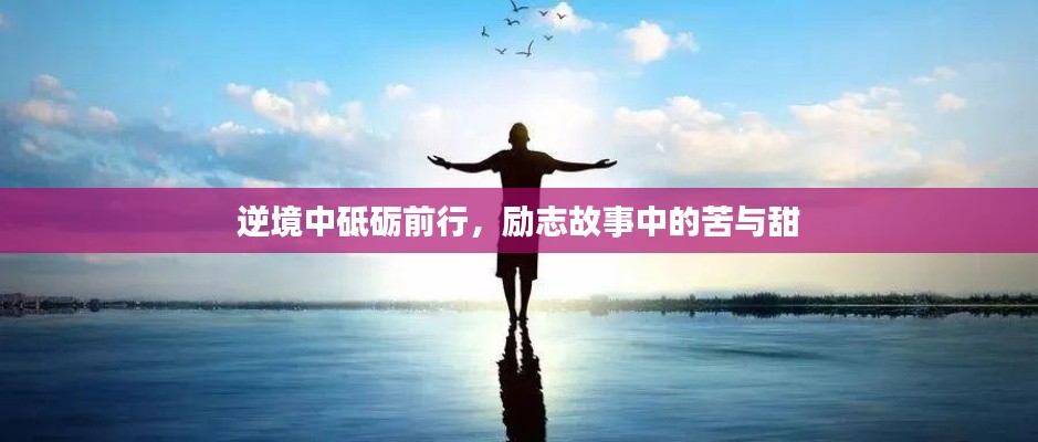 逆境中砥砺前行，励志故事中的苦与甜