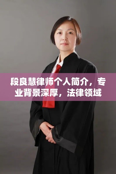 段良慧律师个人简介，专业背景深厚，法律领域佼佼者——百度权威推荐