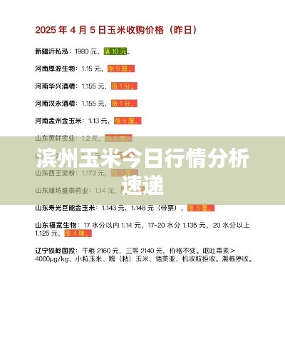 滨州玉米今日行情分析速递