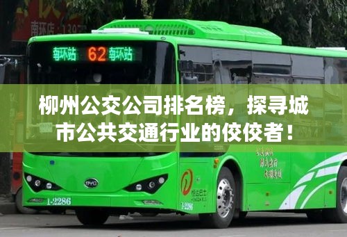 柳州公交公司排名榜，探寻城市公共交通行业的佼佼者！