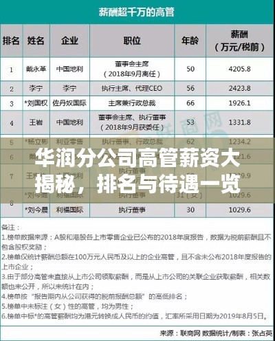 华润分公司高管薪资大揭秘，排名与待遇一览