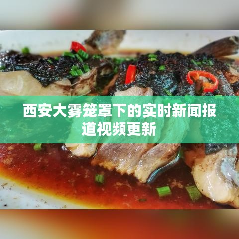 西安大雾笼罩下的实时新闻报道视频更新