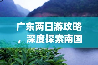 广东两日游攻略，深度探索南国风情魅力
