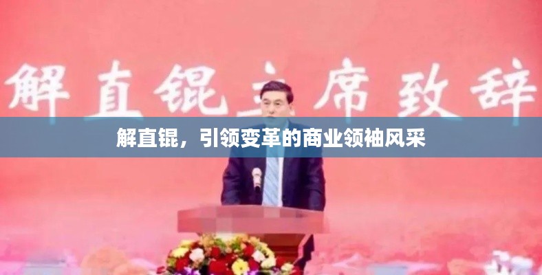 解直锟，引领变革的商业领袖风采