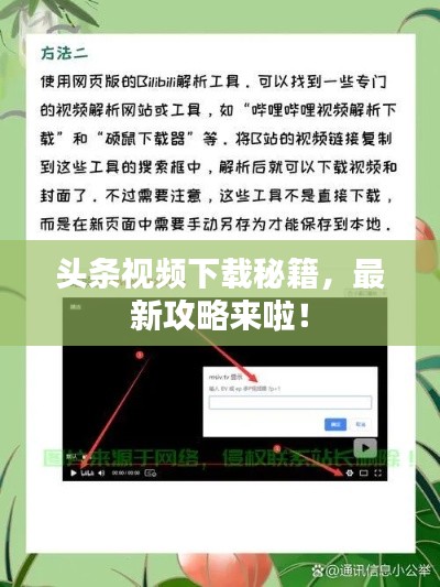 头条视频下载秘籍，最新攻略来啦！