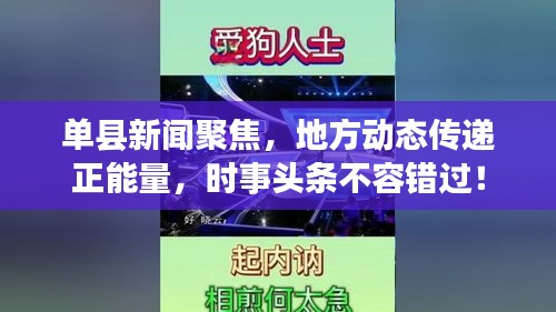 单县新闻聚焦，地方动态传递正能量，时事头条不容错过！