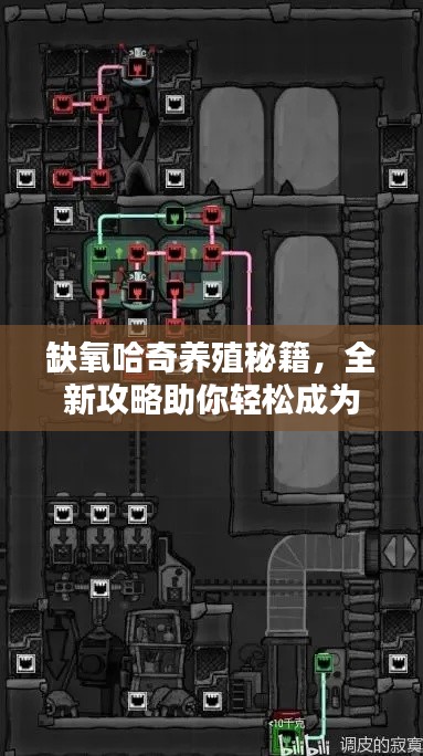 缺氧哈奇养殖秘籍，全新攻略助你轻松成为养殖达人！