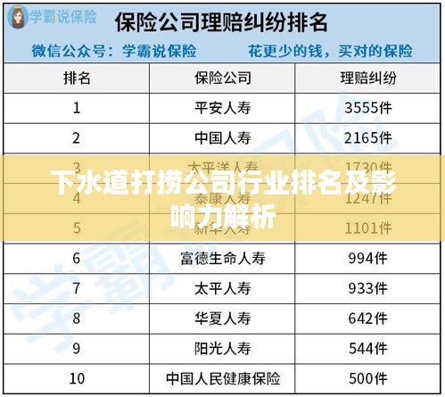 下水道打捞公司行业排名及影响力解析
