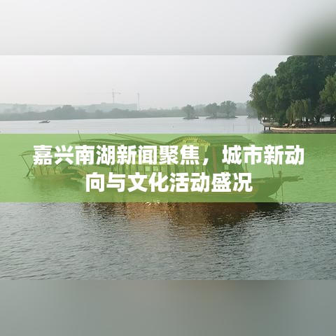 嘉兴南湖新闻聚焦，城市新动向与文化活动盛况