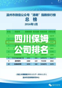 四川保姆公司排名TOP榜，优质保姆任你选！