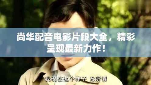 尚华配音电影片段大全，精彩呈现最新力作！