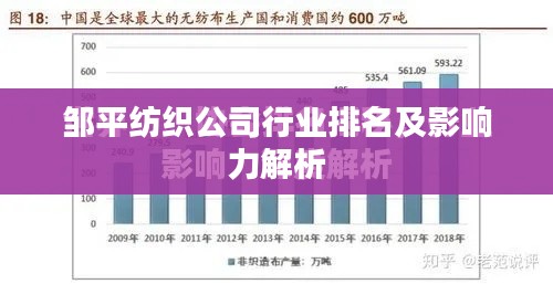 邹平纺织公司行业排名及影响力解析