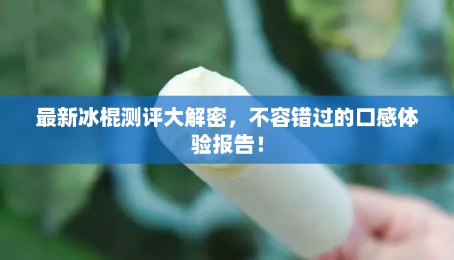 最新冰棍测评大解密，不容错过的口感体验报告！