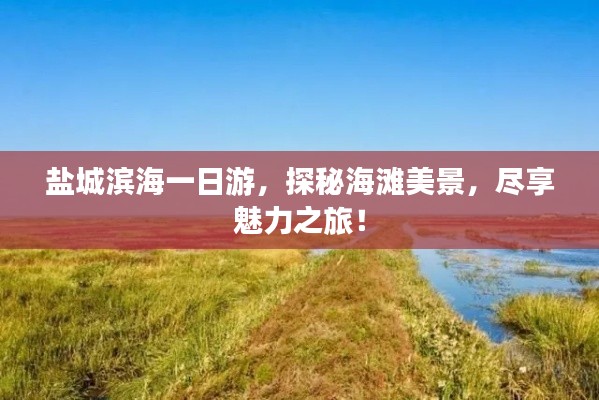 盐城滨海一日游，探秘海滩美景，尽享魅力之旅！