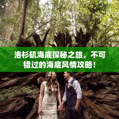 洛杉矶海底探秘之旅，不可错过的海底风情攻略！