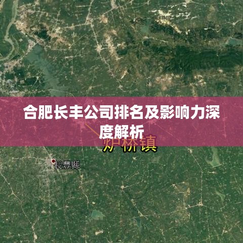 合肥长丰公司排名及影响力深度解析