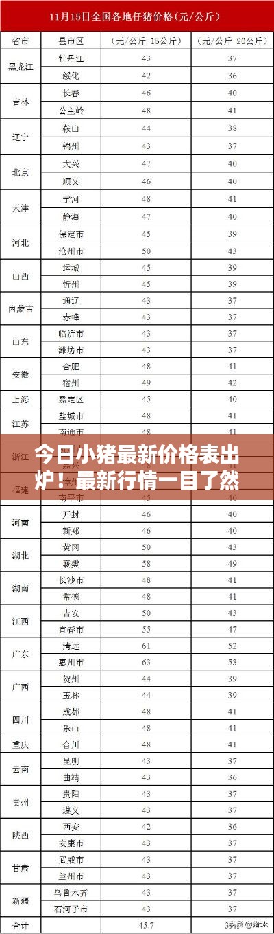 今日小猪最新价格表出炉！最新行情一目了然
