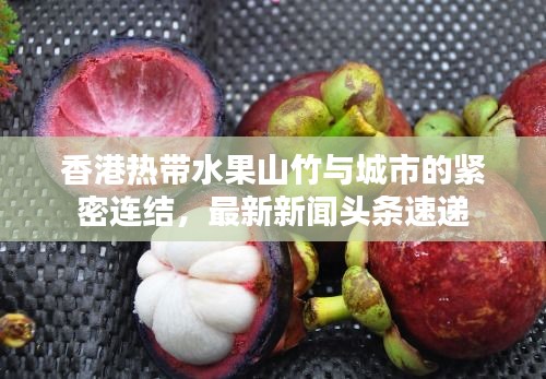 香港热带水果山竹与城市的紧密连结，最新新闻头条速递